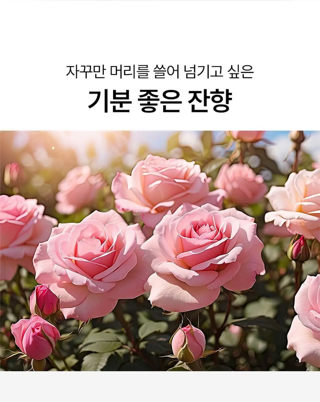 [열보호]모레모 프로 리페어 헤어에센스 80ml 기획(+2X 트리트먼트 증정) 상세페이지 13